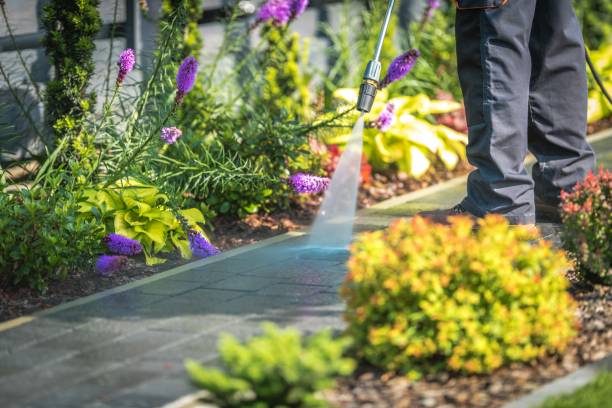 Best Sidewalk and Walkway Cleaning  in Eagle Crest, OR